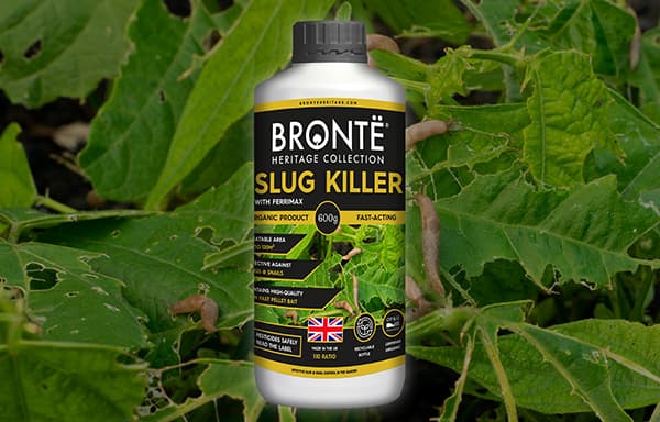 Bronte Heritage Slug Killer