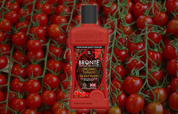 Organic Tomato Plant Food
